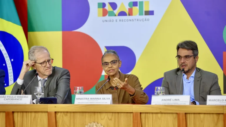 Governo registra queda anual no desmatamento, mas vê pico atípico em abril