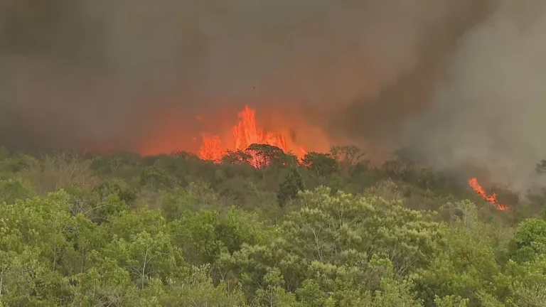 Câmara aprova pena maior para autores de incêndios criminosos