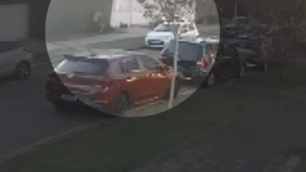 Vídeo: grávida é atacada por cachorros em Curitiba