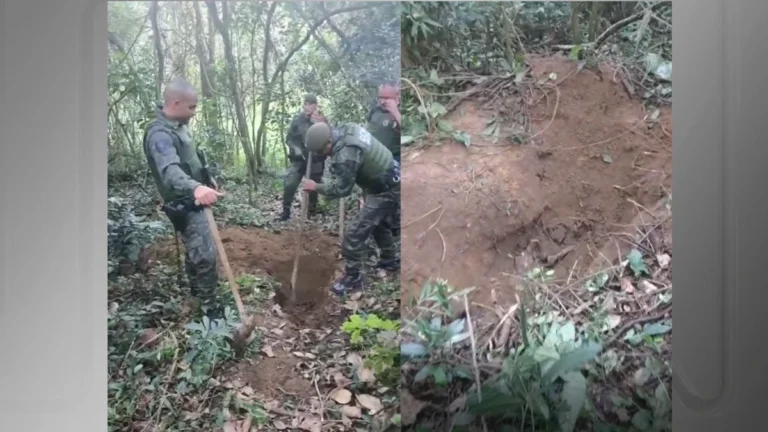 Cemitério clandestino em São Paulo: pelo menos 15 ossadas são encontradas