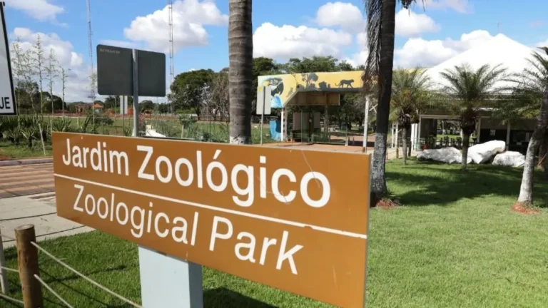 Governo do DF confirma caso de gripe aviária no Zoológico de Brasília