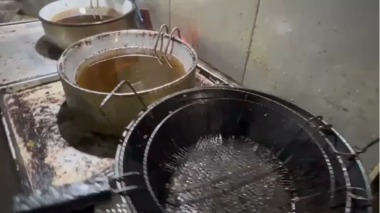 Polícia fecha fábrica clandestina de salgados no Rio; veja imagens