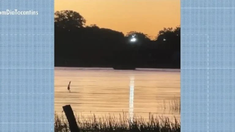 Jovem de 18 anos morre afogado e outra pessoa desaparece em lago após caírem de canoa