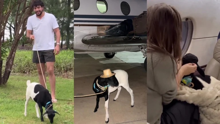 Nattan ganha presente inusitado em show para filha com Rafa Kalimann; veja