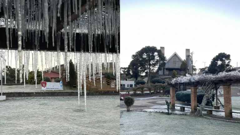 Cidade de SC registra -7,8ºC nesta terça-feira (2); veja imagens