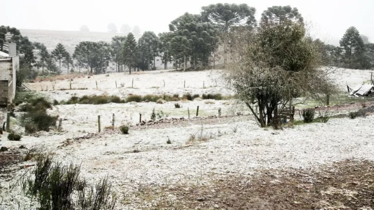 Frente fria: especialista explica neve que caiu na região Sul do país