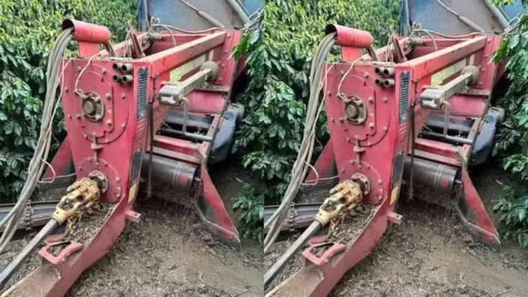 Fazendeiro morre após ser puxado para dentro de colheitadeira em plantação de café