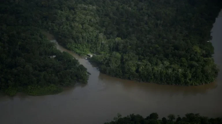 Rios amazônicos estão quatro metros acima dos níveis registrados em 2024