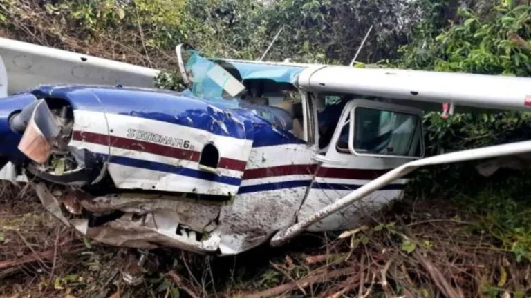 Empresário famoso morre em acidente aéreo no Pantanal; entenda o que aconteceu