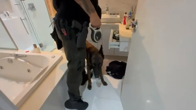 Bunker, dívida e morte: a cronologia do caso dos quatro desaparecidos no PR