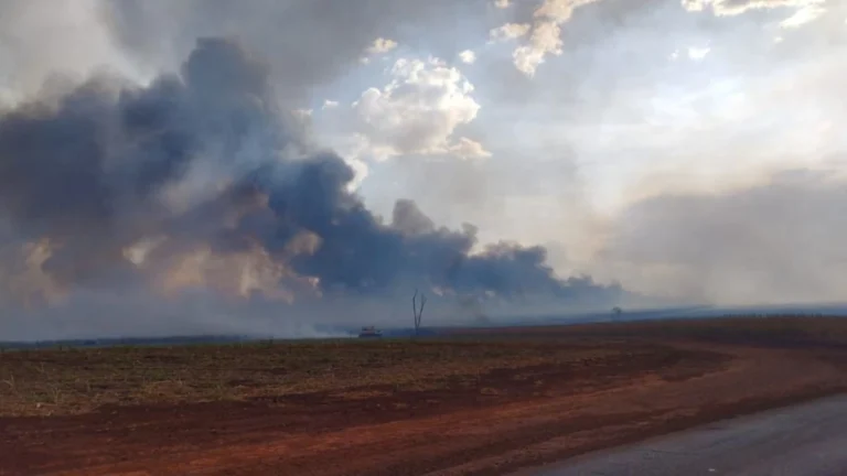 Alerta severo: 111 cidades de SP recebem mensagem para riscos de tempo seco