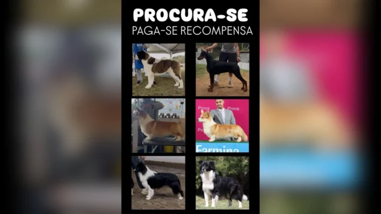 Cinco suspeitos de roubarem cães de raça são presos em SP