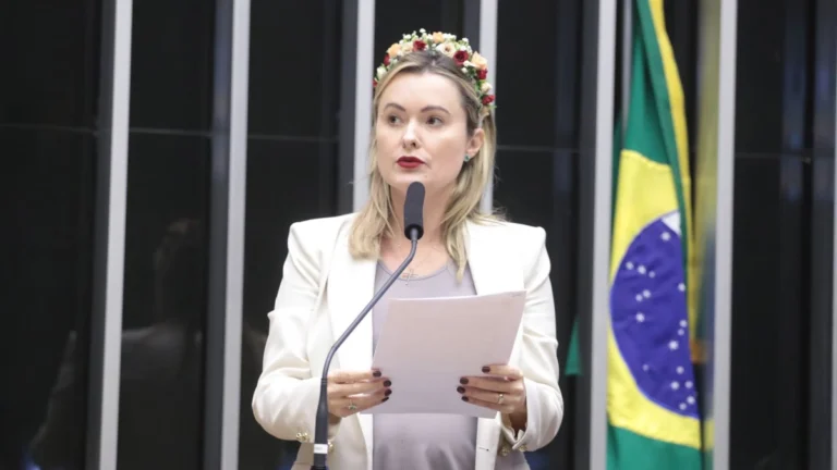 Deputada do PL apresenta projeto para acabar com cobrança do IR