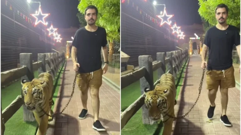 João Silva, filho de Faustão, choca web ao passear com tigre na coleira