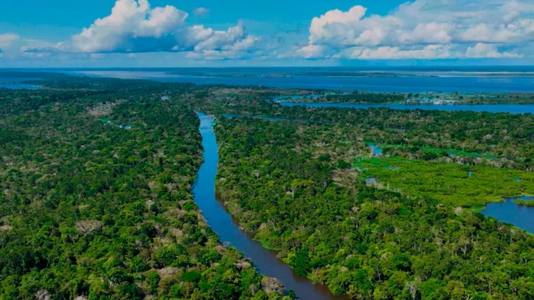 COP30 em Belém reúne turismo para debater crise climática na Amazônia