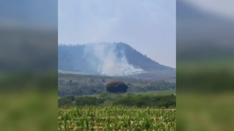 Risco extremo: SP tem sete focos de incêndio em vegetações nesta segunda