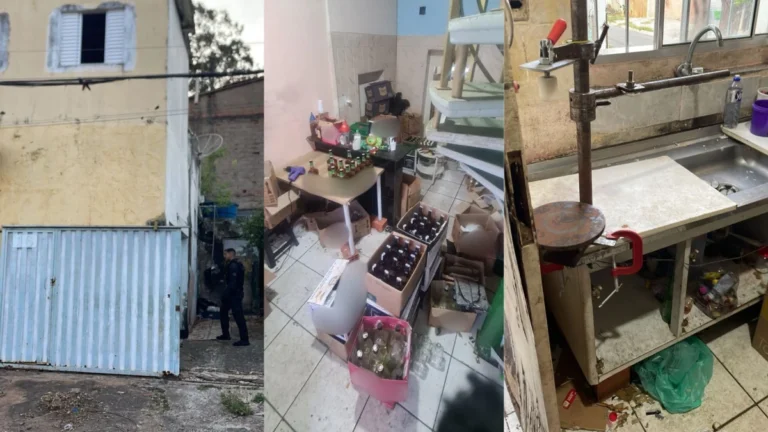 Polícia apreende 316 mil rótulos e 3 mil bebidas falsificadas em ação em SP