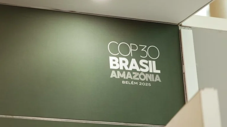 COP30: Edital oferece até R$3 mil a projetos ambientais infantojuvenis