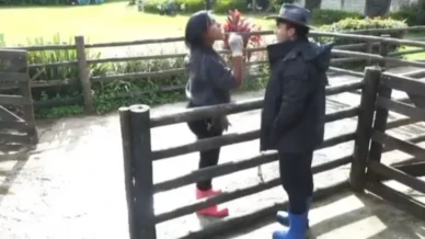 A Fazenda 17: Carol e Wallas brigam feio e ficam cara a cara: Demônio