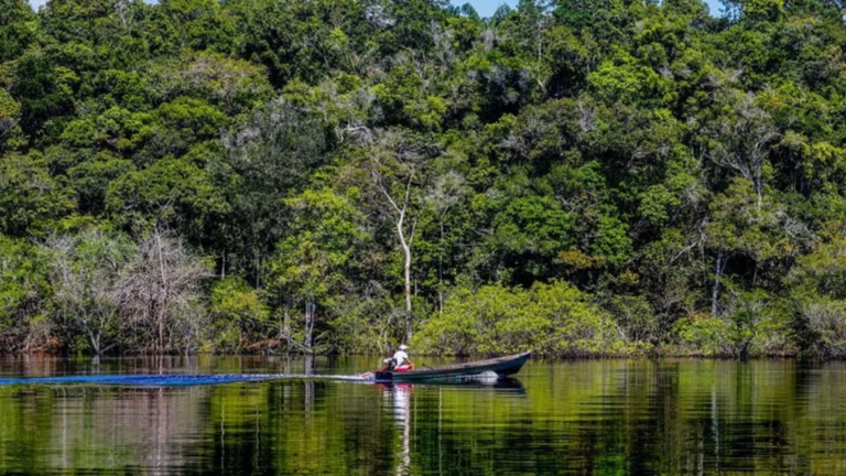 Clima extremo afeta 1,8 milhão na Amazônia; prejuízo alcança US$ 5 bilhões