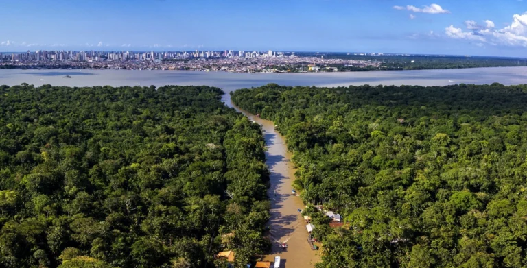 COP30: População ribeirinha de Belém encontra sustento na floresta