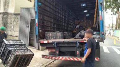 Polícia prende cinco suspeitos em operação contra falsificação de bebidas