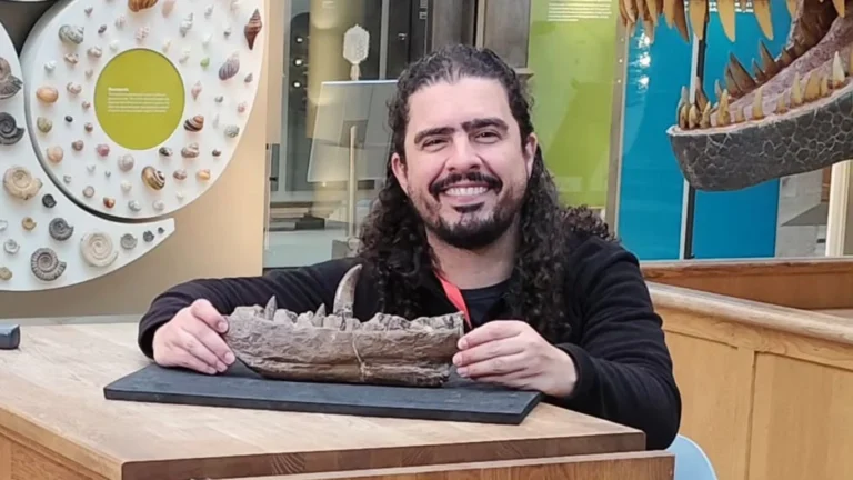 Estado de saúde de Pirulla é atualizado com previsão de alta