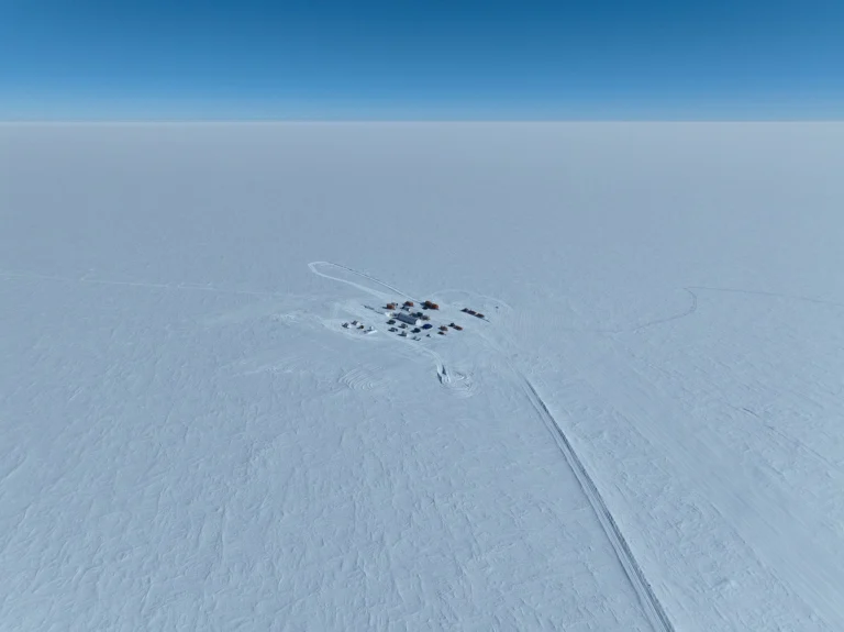 Como um mini-camarão se tornou ponto chave para o futuro da Antártica