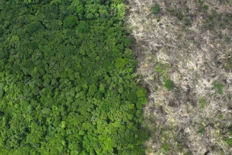 Amazônia: temperatura marca 1,5°C acima da média; limite do Acordo de Paris