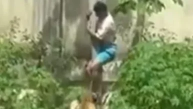 MP da Paraíba investiga morte de jovem atacado por leoa em João Pessoa