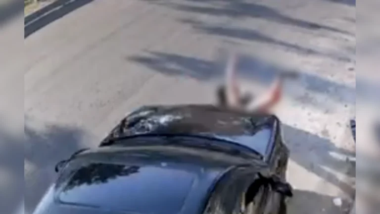 Mulher arrastada na Marginal Tietê passa por nova cirurgia e está estável