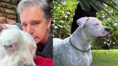 Marcio Garcia chora ao anunciar morte do cãozinho da família; veja vídeo