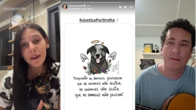 Famosos reagem à morte de cão comunitário após agressões