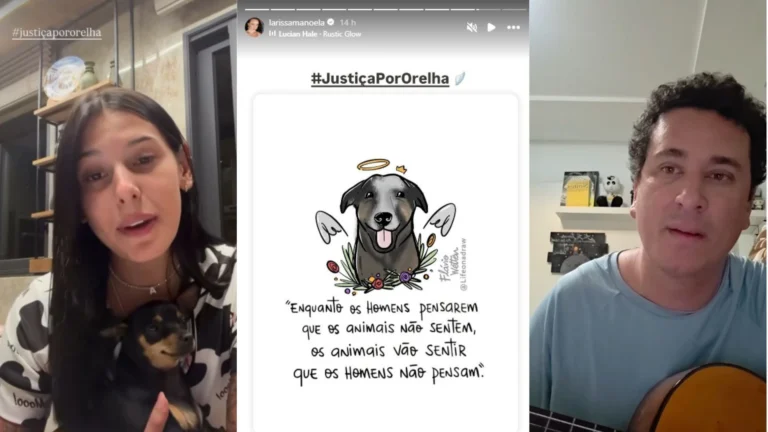 Famosos reagem à morte de cão comunitário após agressões