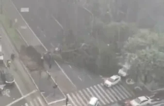 Chuva com raios em São Paulo derruba árvores e causa alagamentos