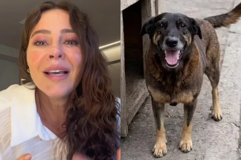 Chorando, Paolla Oliveira protesta após morte do cão Orelha; assista