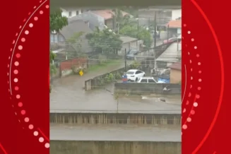 Chuva forte provoca alagamentos e queda de árvores em bairros de Curitiba