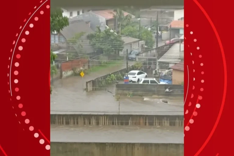 Chuva forte provoca alagamentos e queda de árvores em bairros de Curitiba