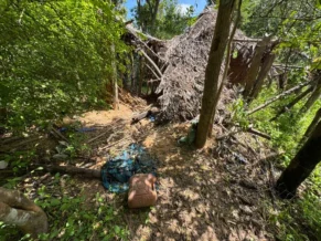 Após relato de menino de 8 anos, cães farejadores indicam que crianças desaparecidas estiveram em casa abandonada no MA