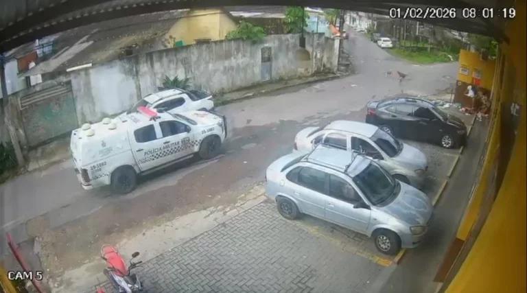 Vídeo: policiais são afastados após matarem dois cães atropelados em Manaus