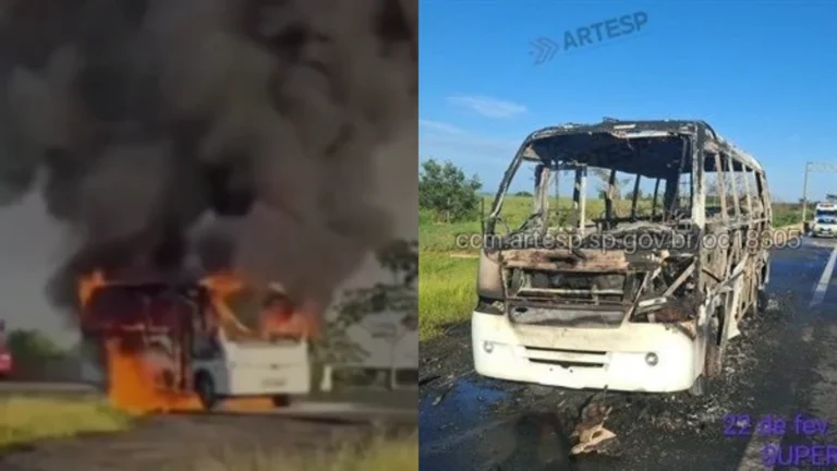 Vídeo: ônibus com atletas de karatê pega fogo em Rodovia de SP