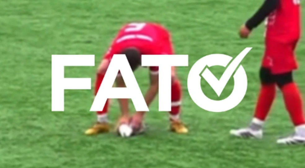 É #FATO: Gaivota é atingida por bolada durante jogo de futebol na Turquia e reanimada por capitão de time; assista