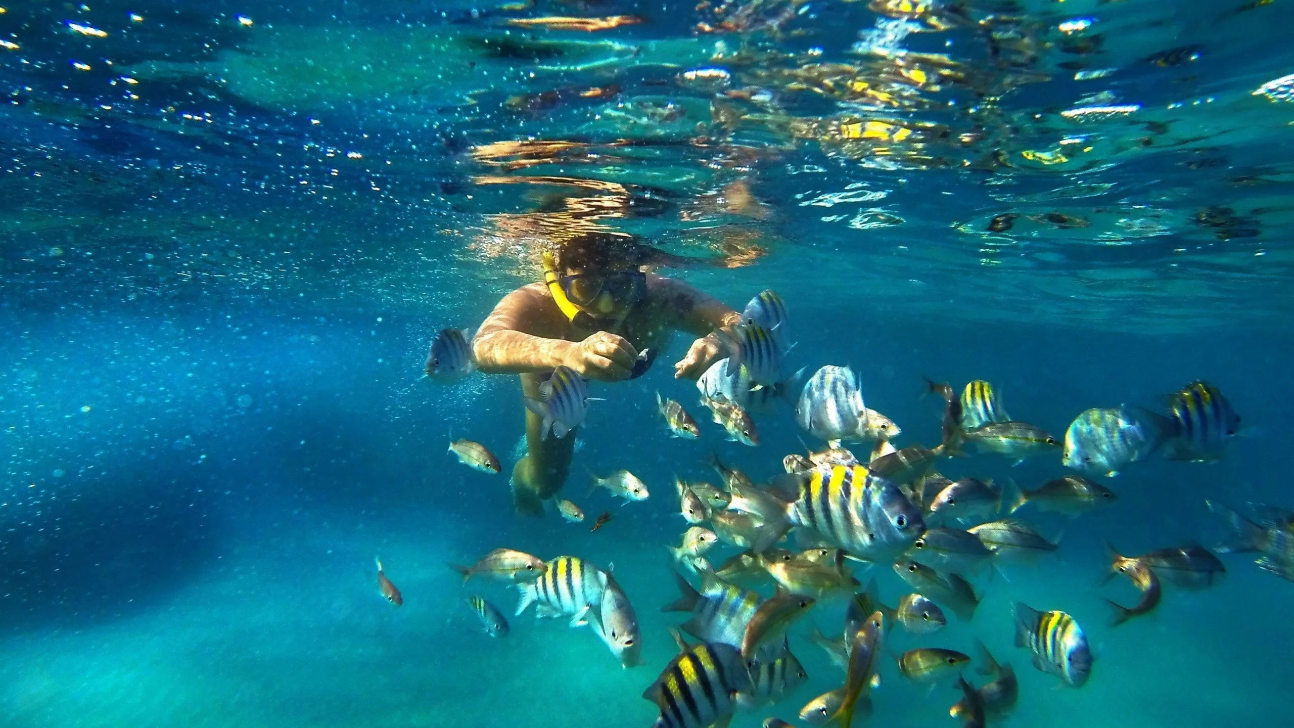 Natal apresenta crescimento de voos nacionais e internacionais em 2026