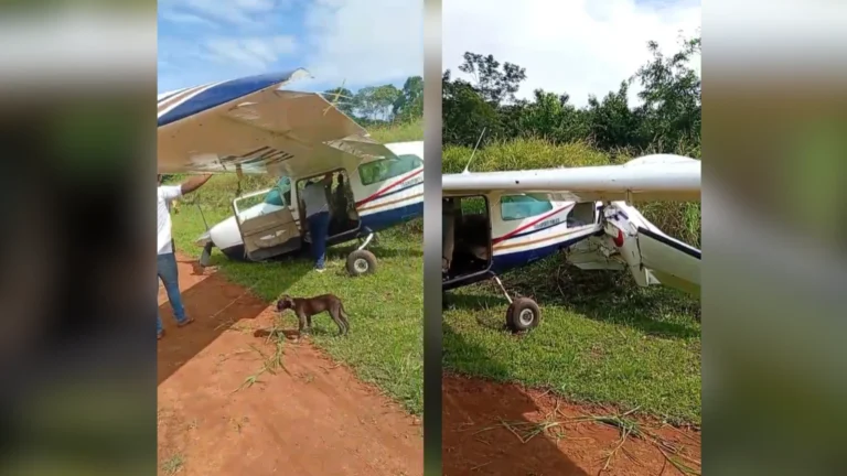 Avião com família cai em aldeia indígena no Pará; veja vídeo