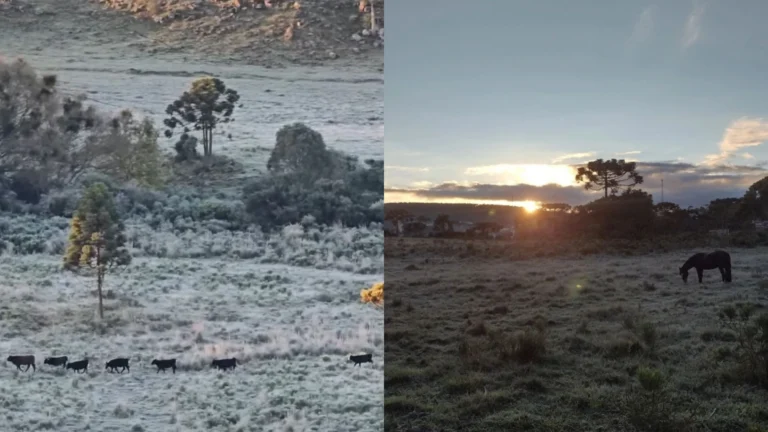 Após temperaturas negativas, quarta-feira (29) será gelada no Sul do Brasil