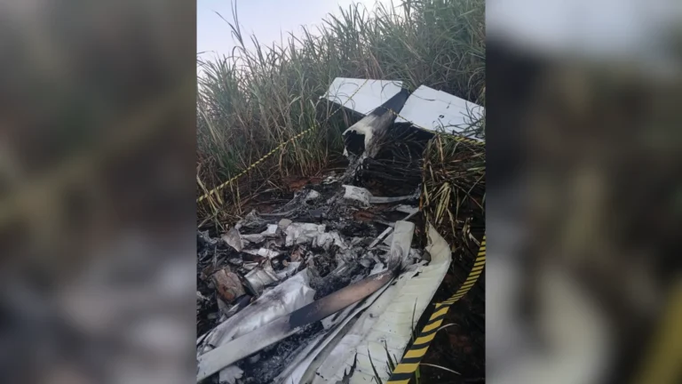 Piloto morre carbonizado após queda de monomotor no interior de SP