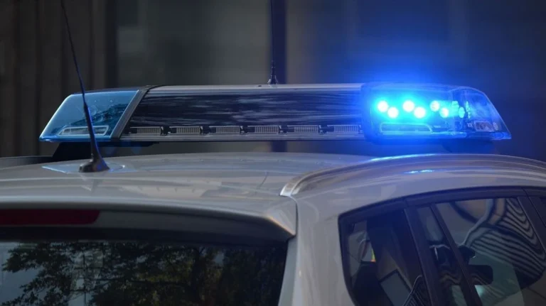 Homem que matou e decepou dedo da própria mãe é preso em SP