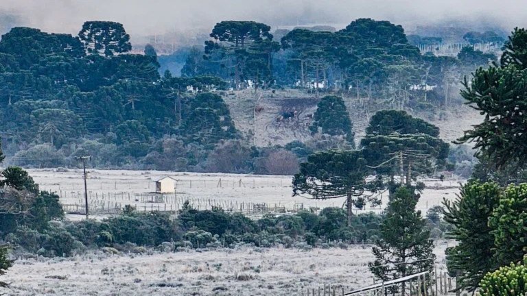 Recorde de temperatura negativa do ano é registrado em Santa Catarina