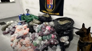 Cão farejador localiza 300 kg de drogas em comunidade da Zona Sul de SP