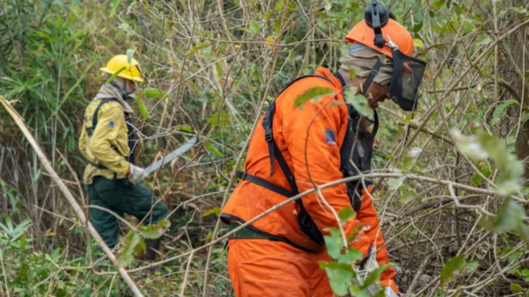 Governo vê risco de seca extrema e queimadas no segundo semestre